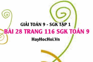 Giải bài 28 trang 116 SGK Toán 9 tập 1